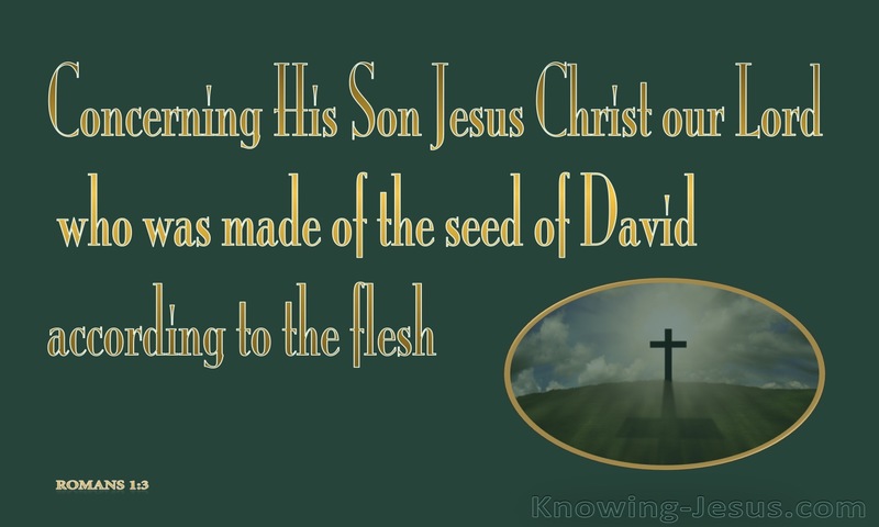 Romans 1:3 Made of the Seed of David (sage)